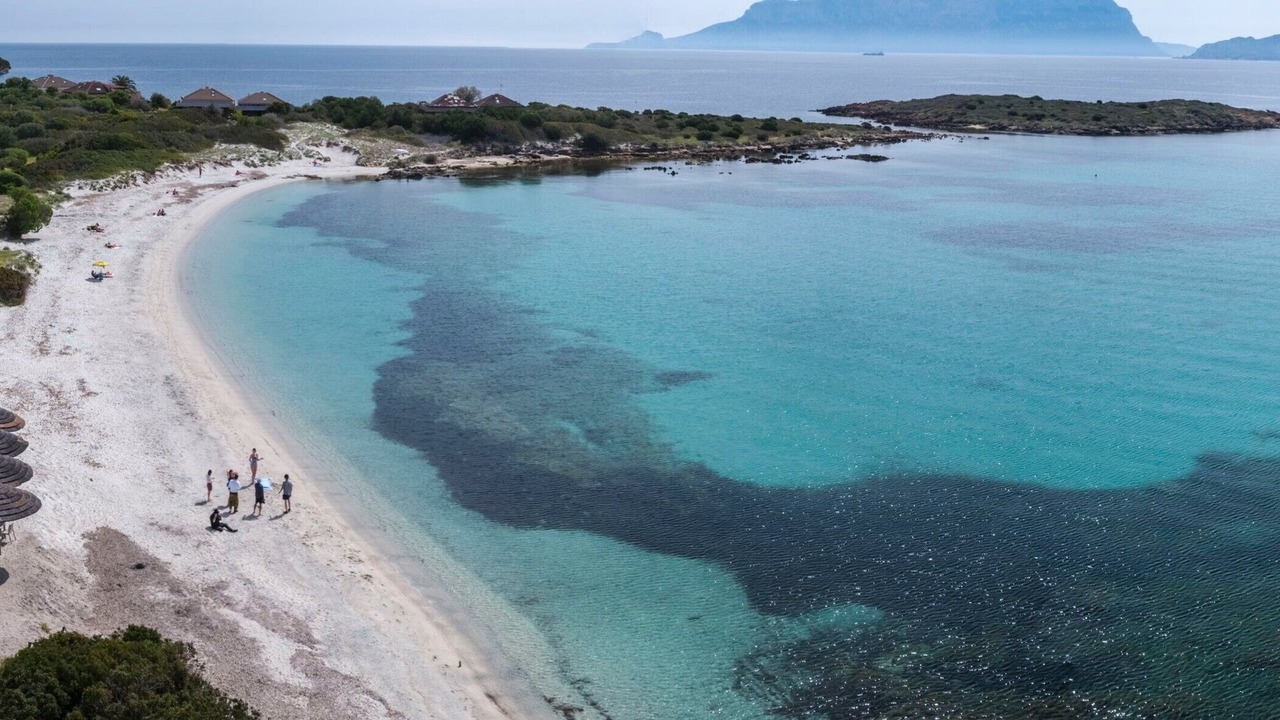 Photo of Others in Golfo Aranci