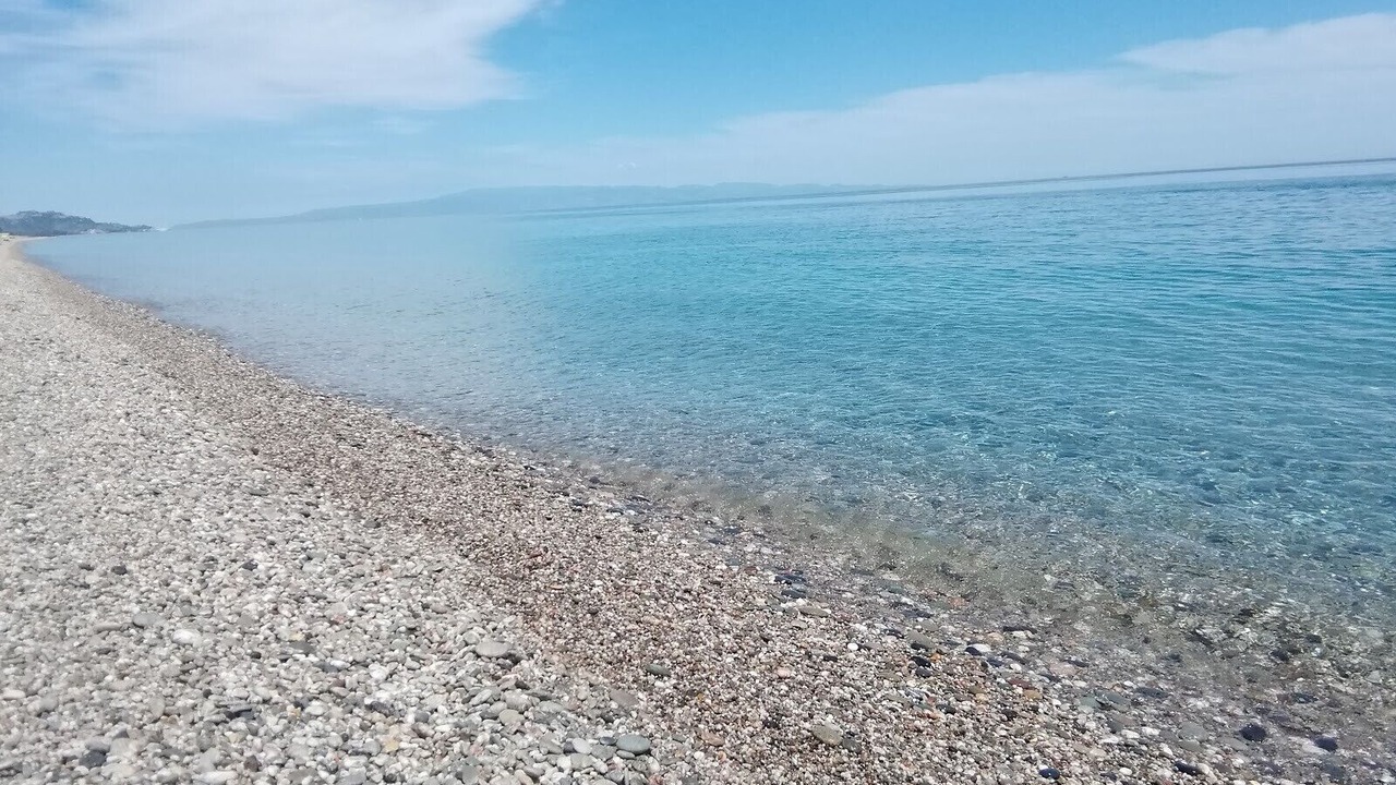 Photo of Others in Macchia