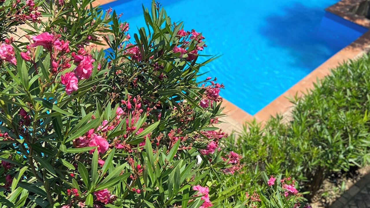 Photo of Outdoor in Staletti
