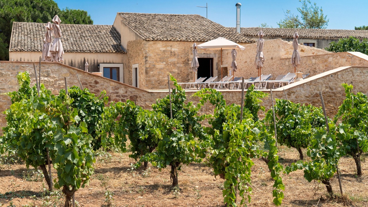 Photo of Outdoor in Vittoria