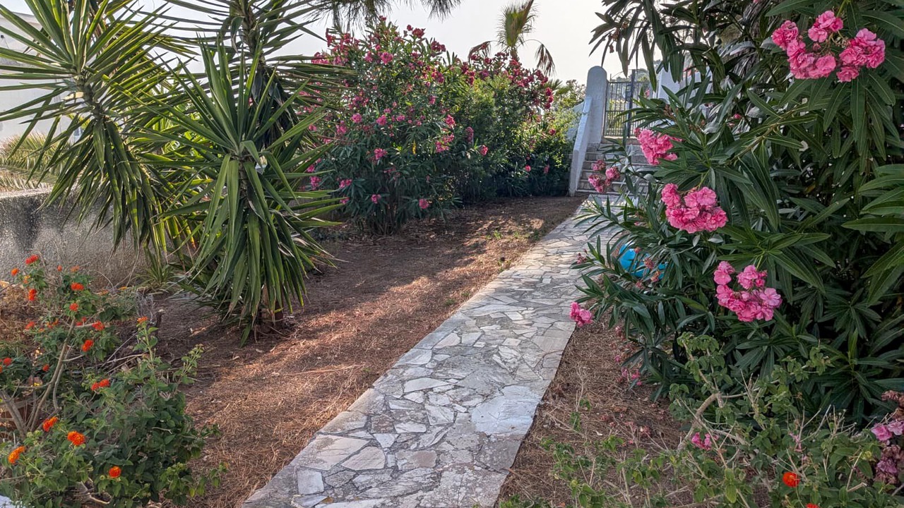 Photo of Outdoor in Vico del Gargano