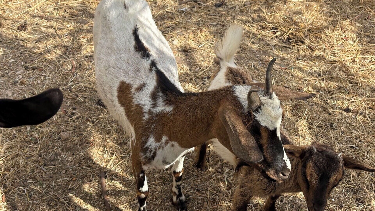 Photo of Others in Chiaramonte Gulfi