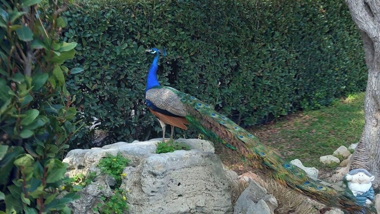 Photo of Others in Chiaramonte Gulfi