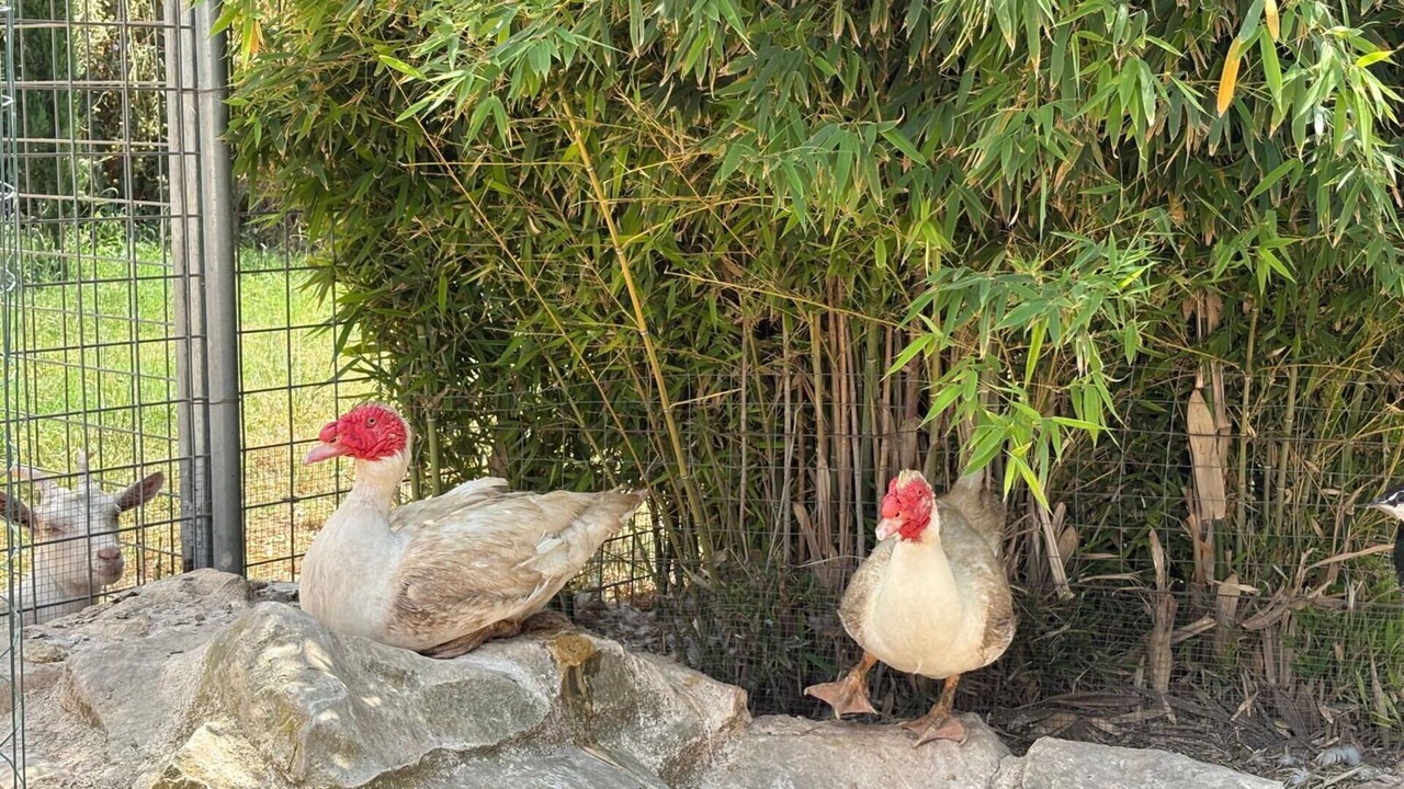 Photo of Others in Chiaramonte Gulfi