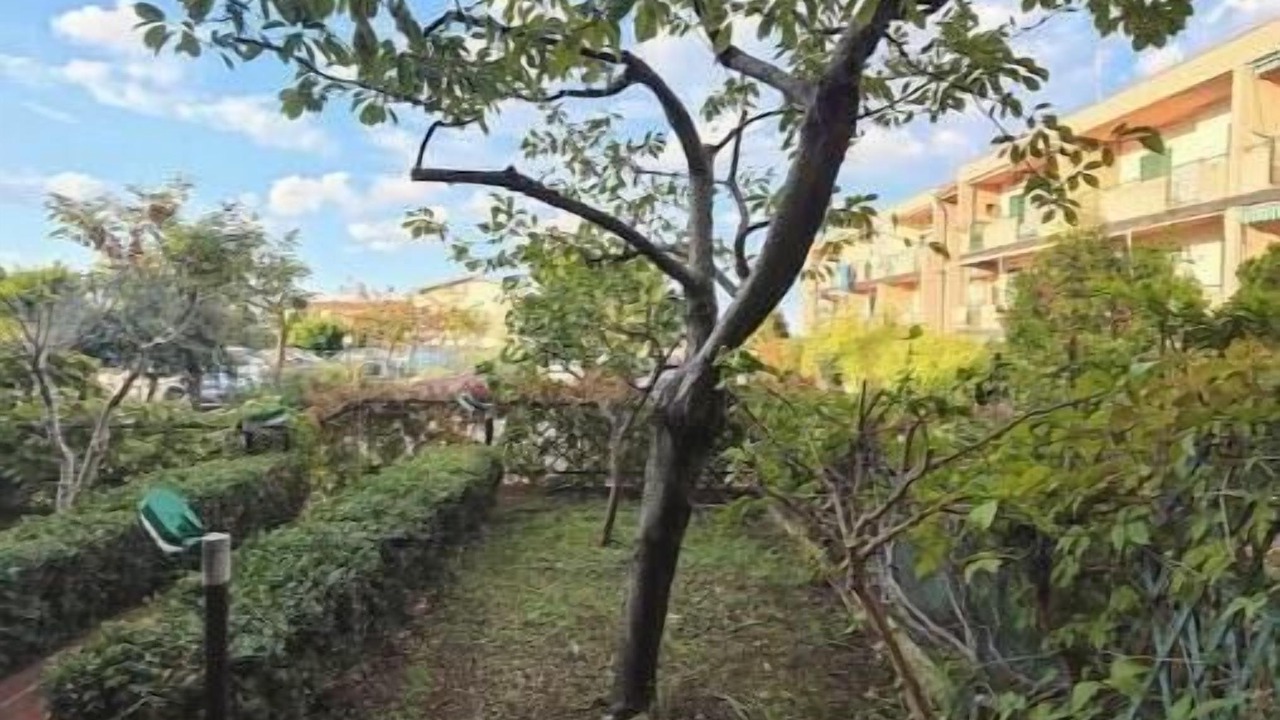Photo of Outdoor in Milianni