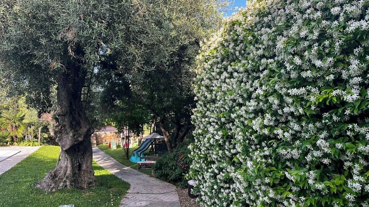 Photo of Outdoor in Motta Sant'Anastasia