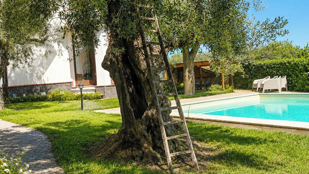 Photo of Outdoor in Motta Sant'Anastasia