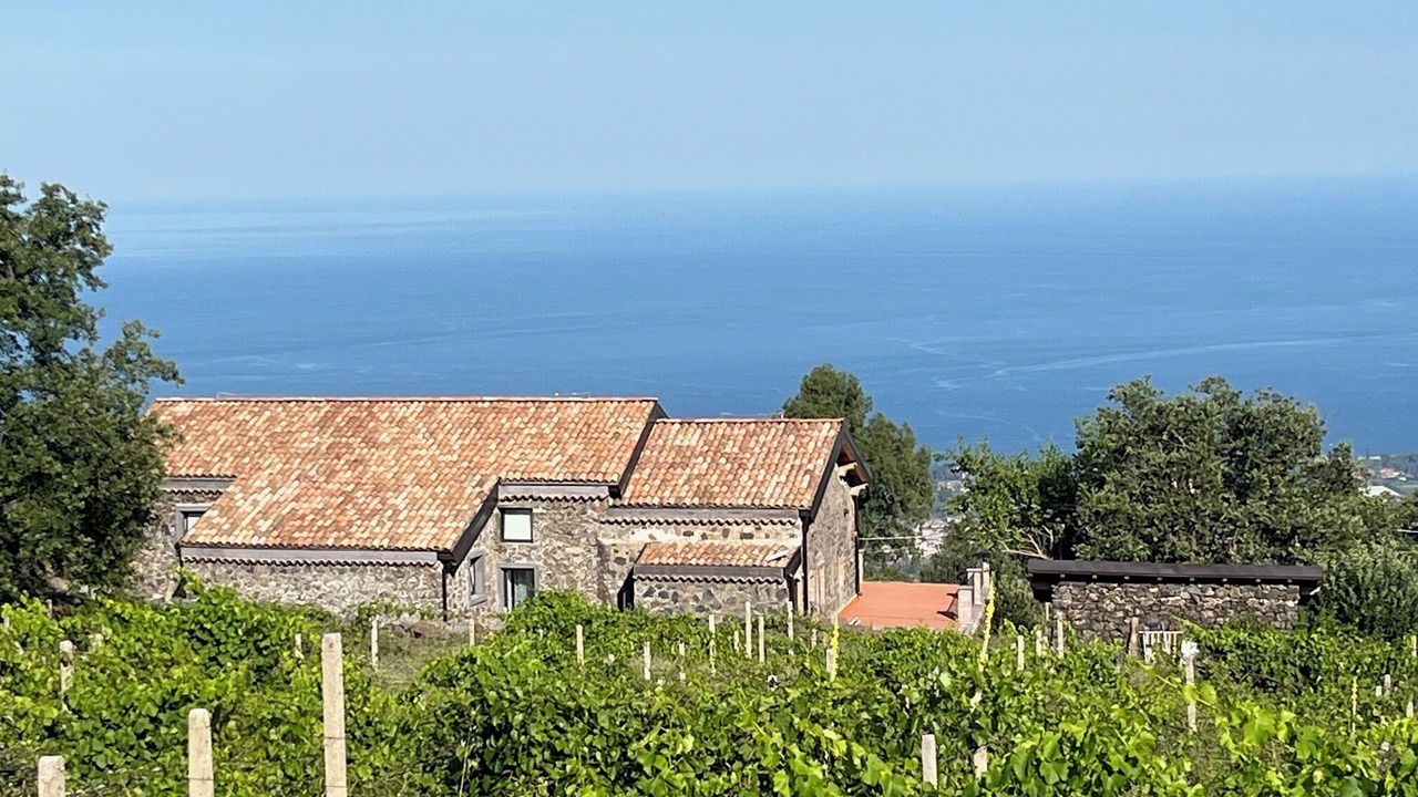 Photo of Others in Mascali