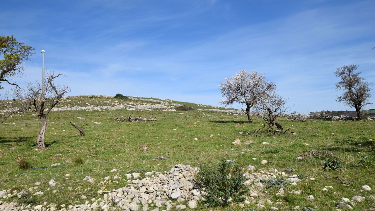 Photo of Outdoor in Ragusa