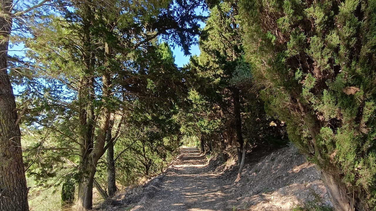 Photo of Others in Bisacquino