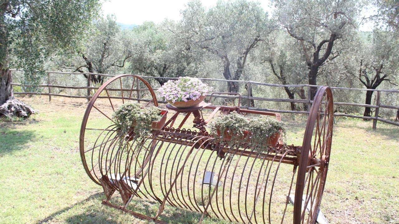 Photo of Others in Campagna