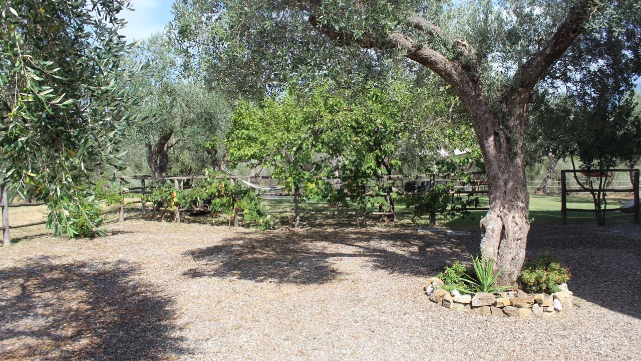 Photo of Outdoor in Campagna
