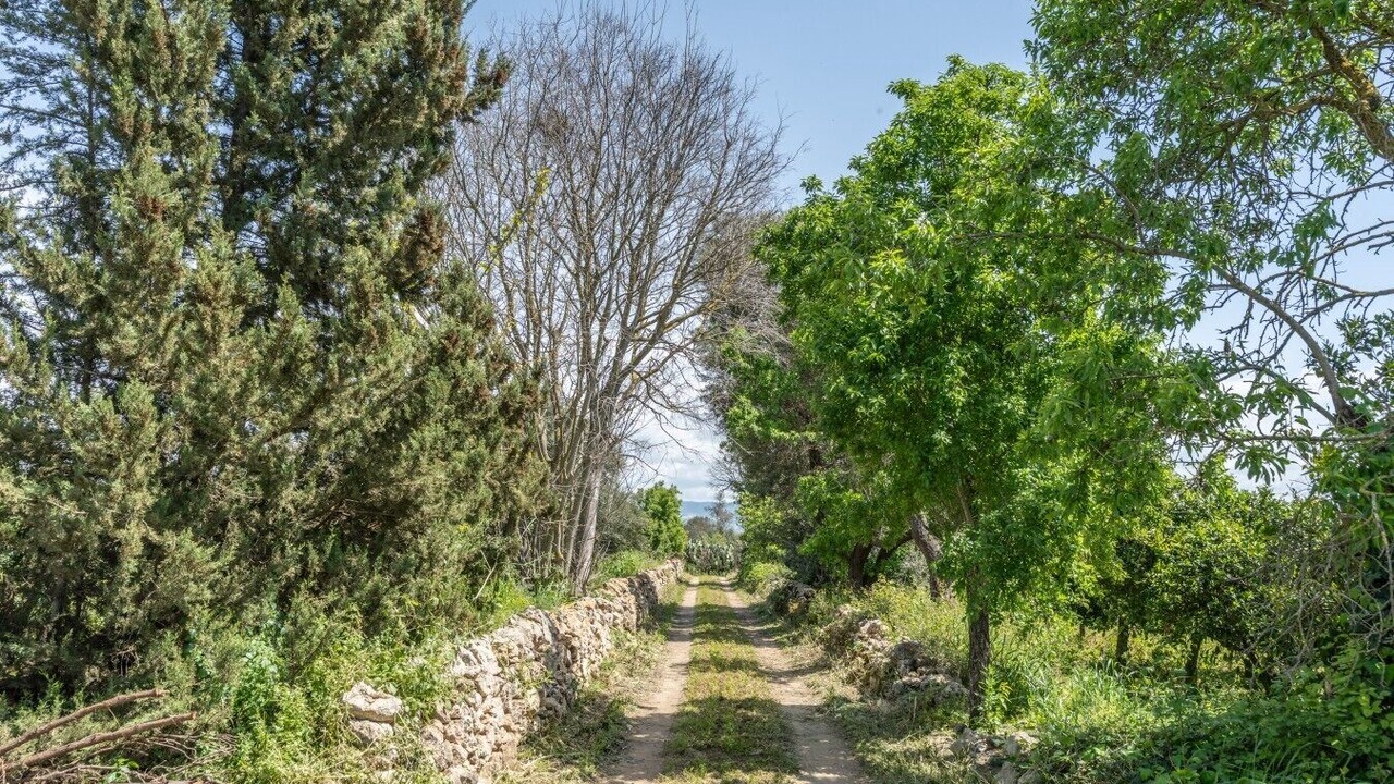 Photo of Others in Vittoria