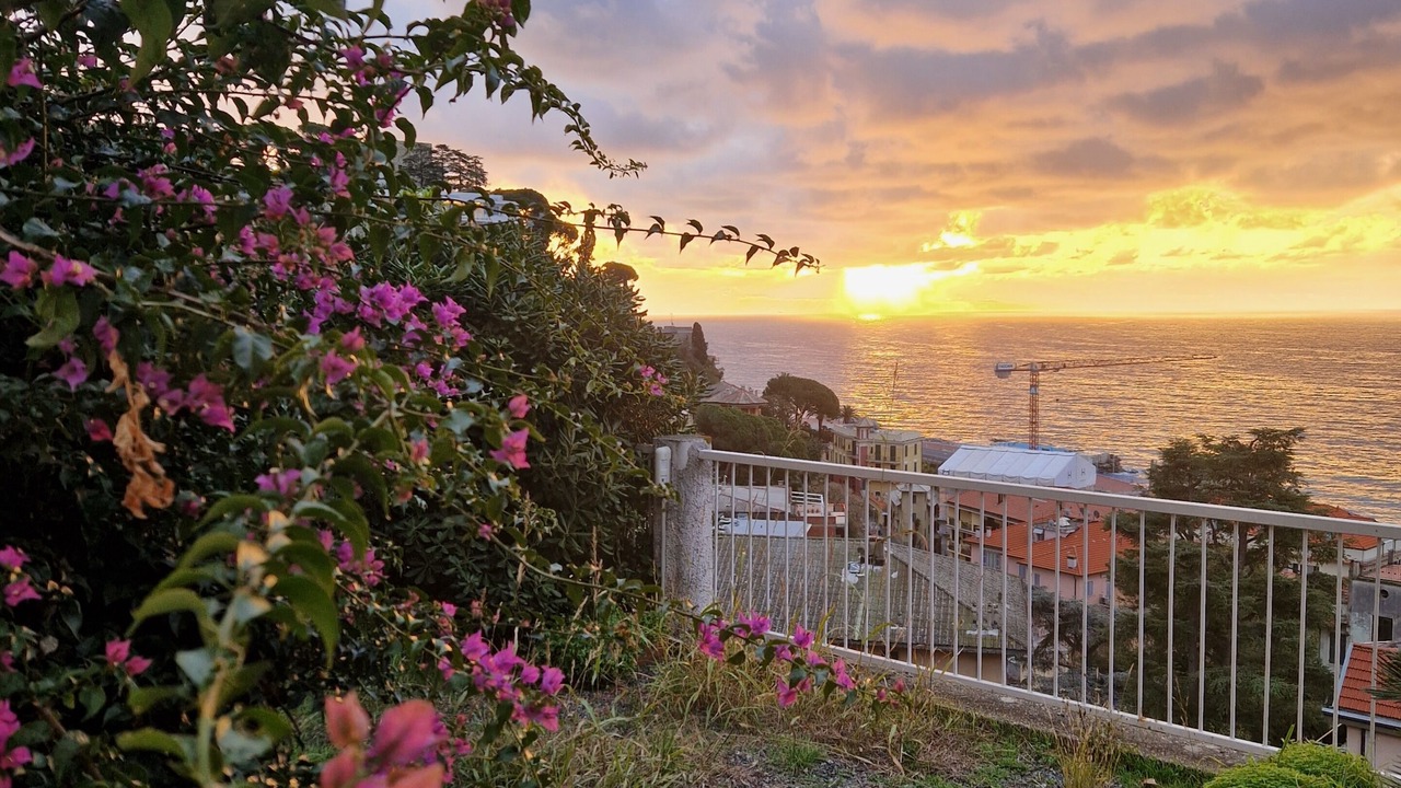 Photo of Outdoor in Varazze