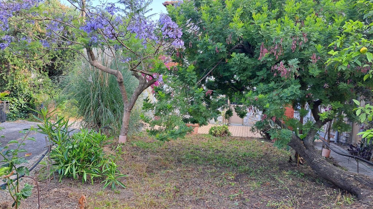 Photo of Outdoor in Borganzo