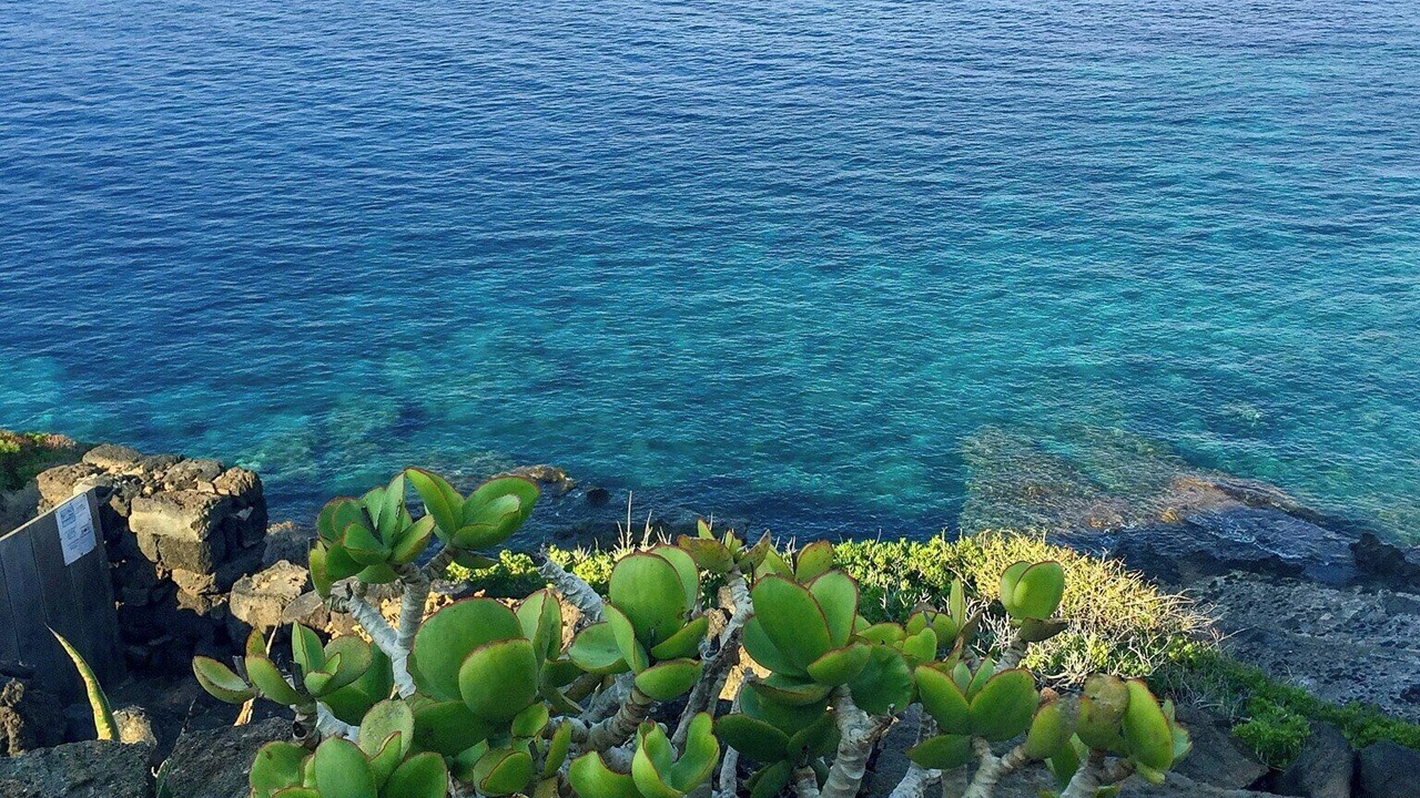 Photo of Others in Pantelleria