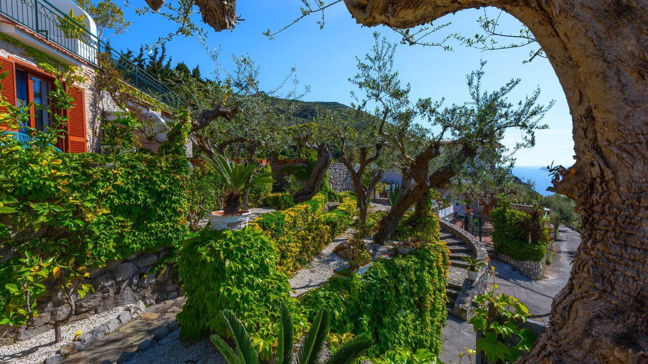 Photo of Others in Nerano