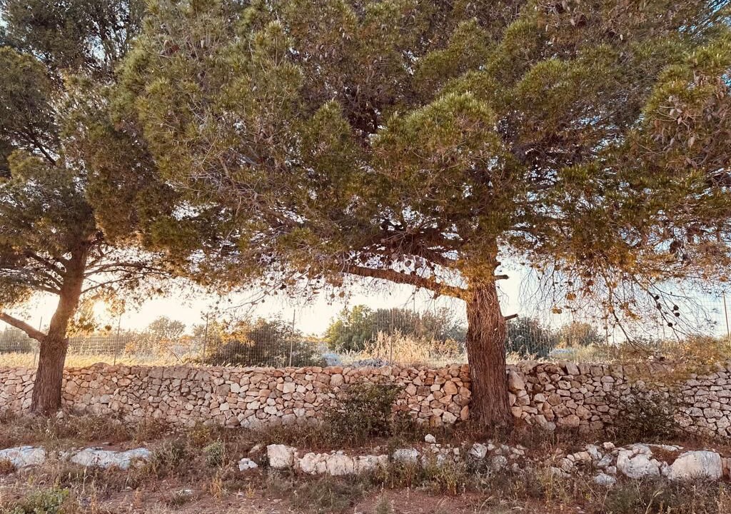 Photo of Others in Pozzallo