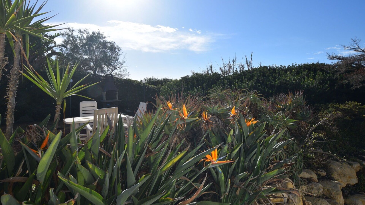 Photo of Outdoor in Punta Braccetto