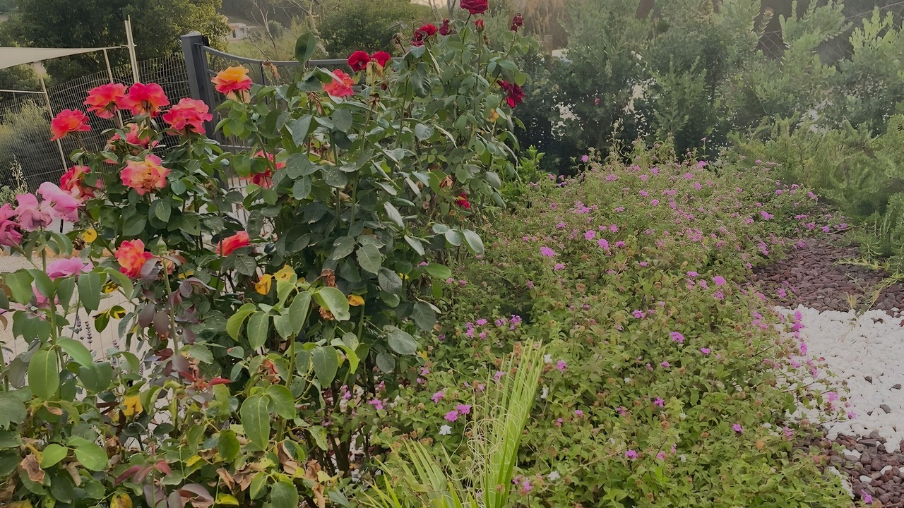 Photo of Outdoor in Cefalu