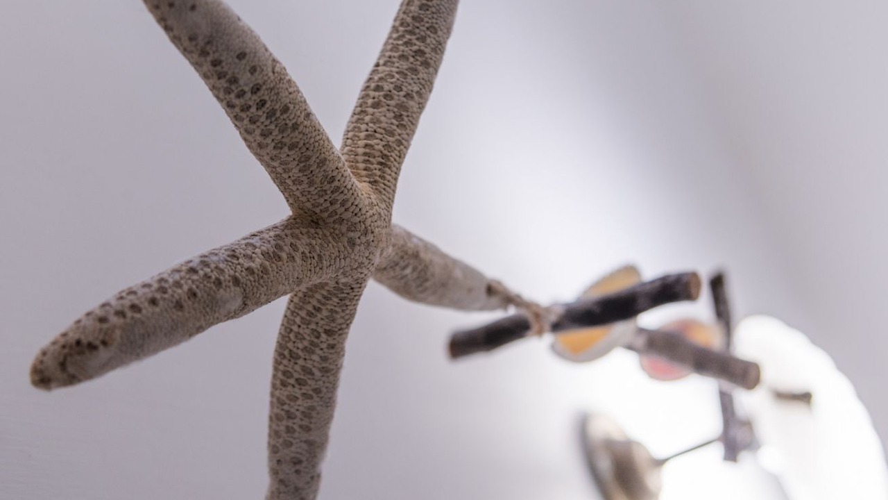 Photo of Others in Tiberio