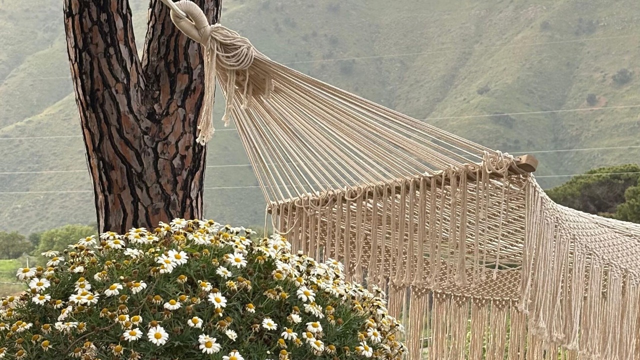 Photo of Outdoor in Gratteri