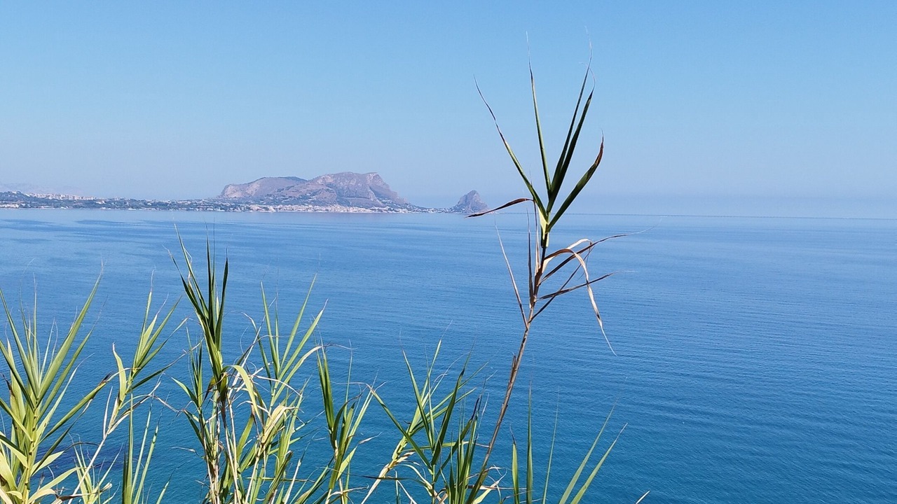 Photo of Others in Sant'Onofrio