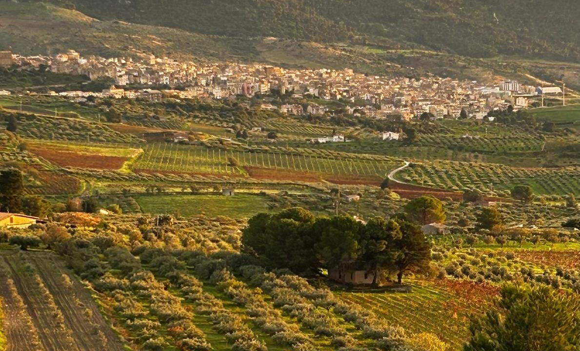 Photo of Others in Sambuca di Sicilia