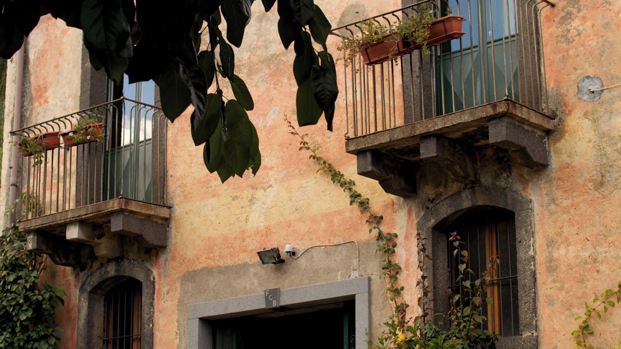 Photo of Outdoor in Mitogio
