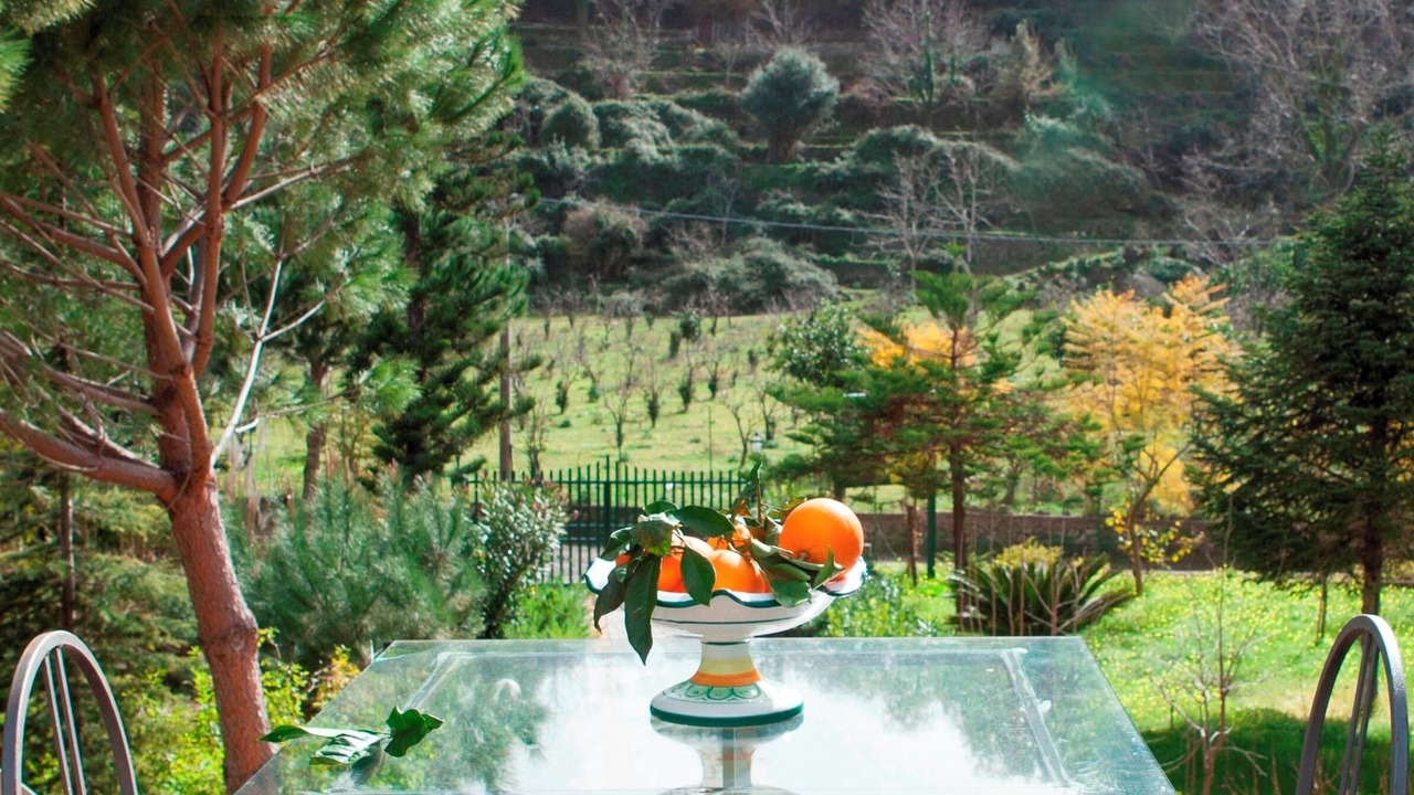 Photo of Outdoor in Mitogio