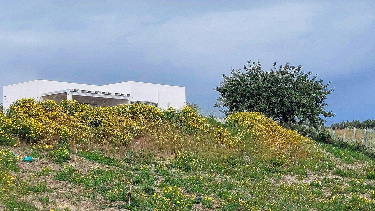 Photo of Outdoor in Siculiana