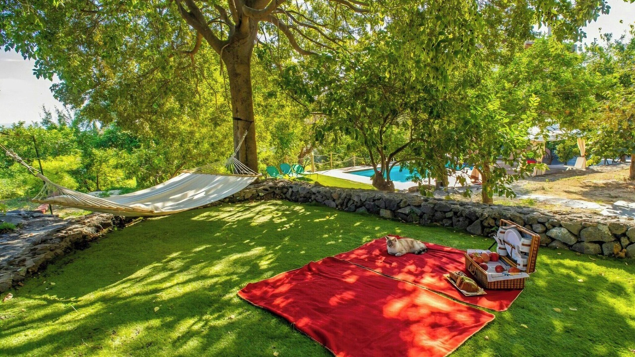 Photo of Outdoor in Aci Catena