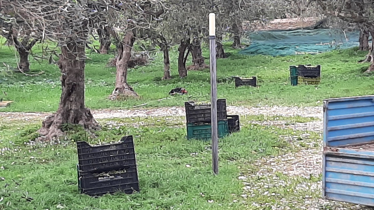 Photo of Outdoor in Paceco