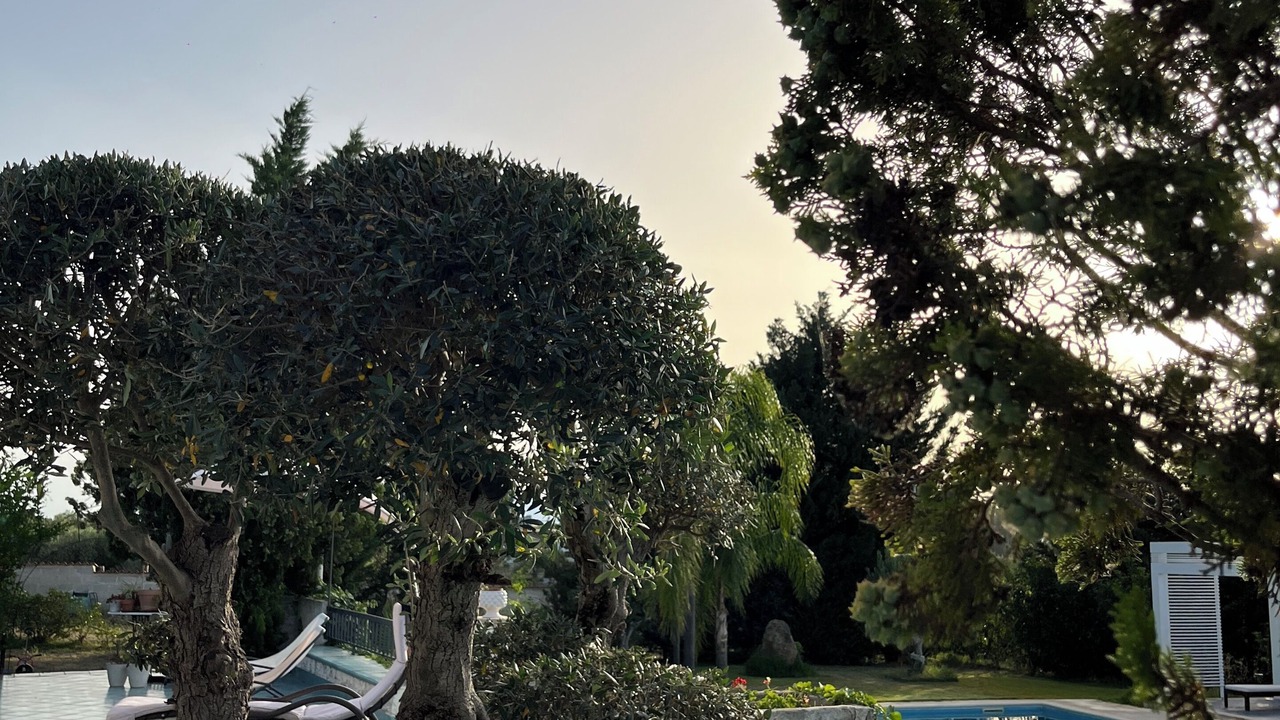 Photo of Outdoor in Partinico