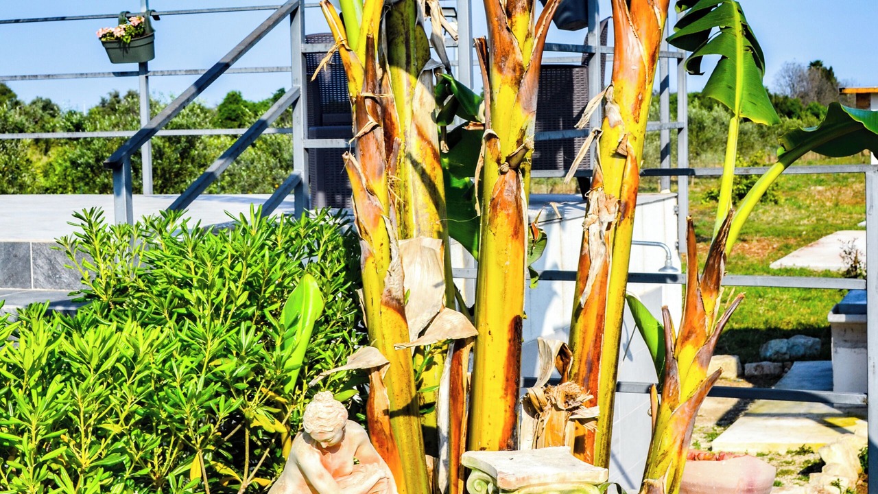 Photo of Outdoor in Noto Marina