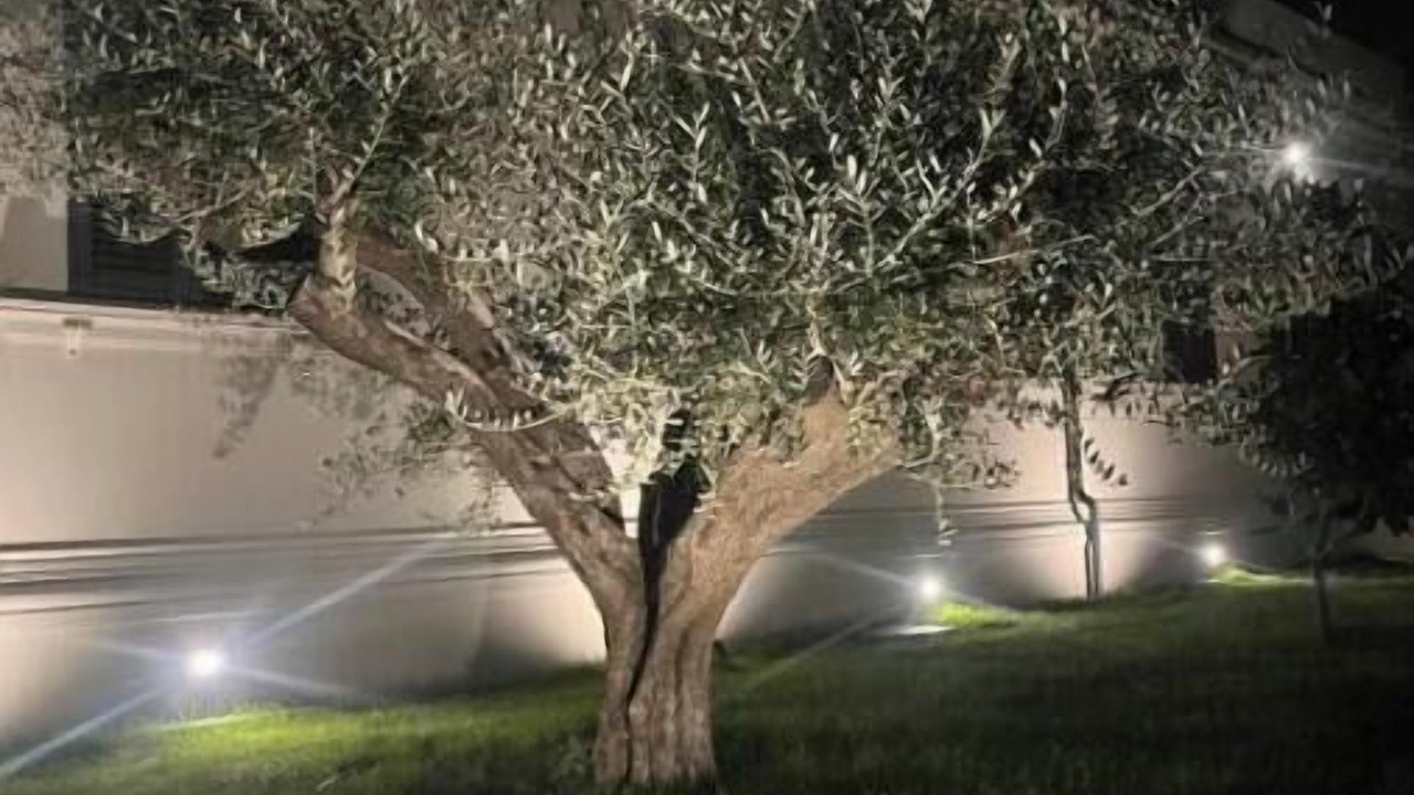 Photo of Outdoor in Villa San Giovanni