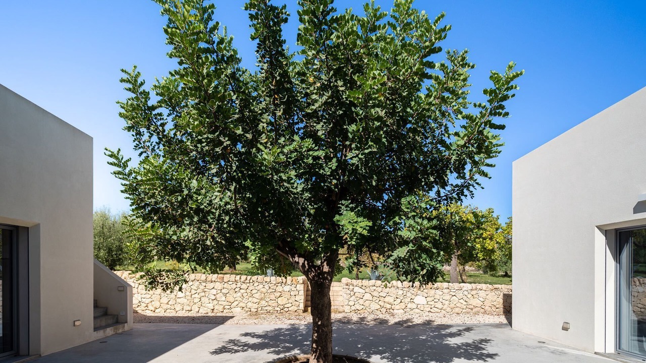 Photo of Outdoor in Noto