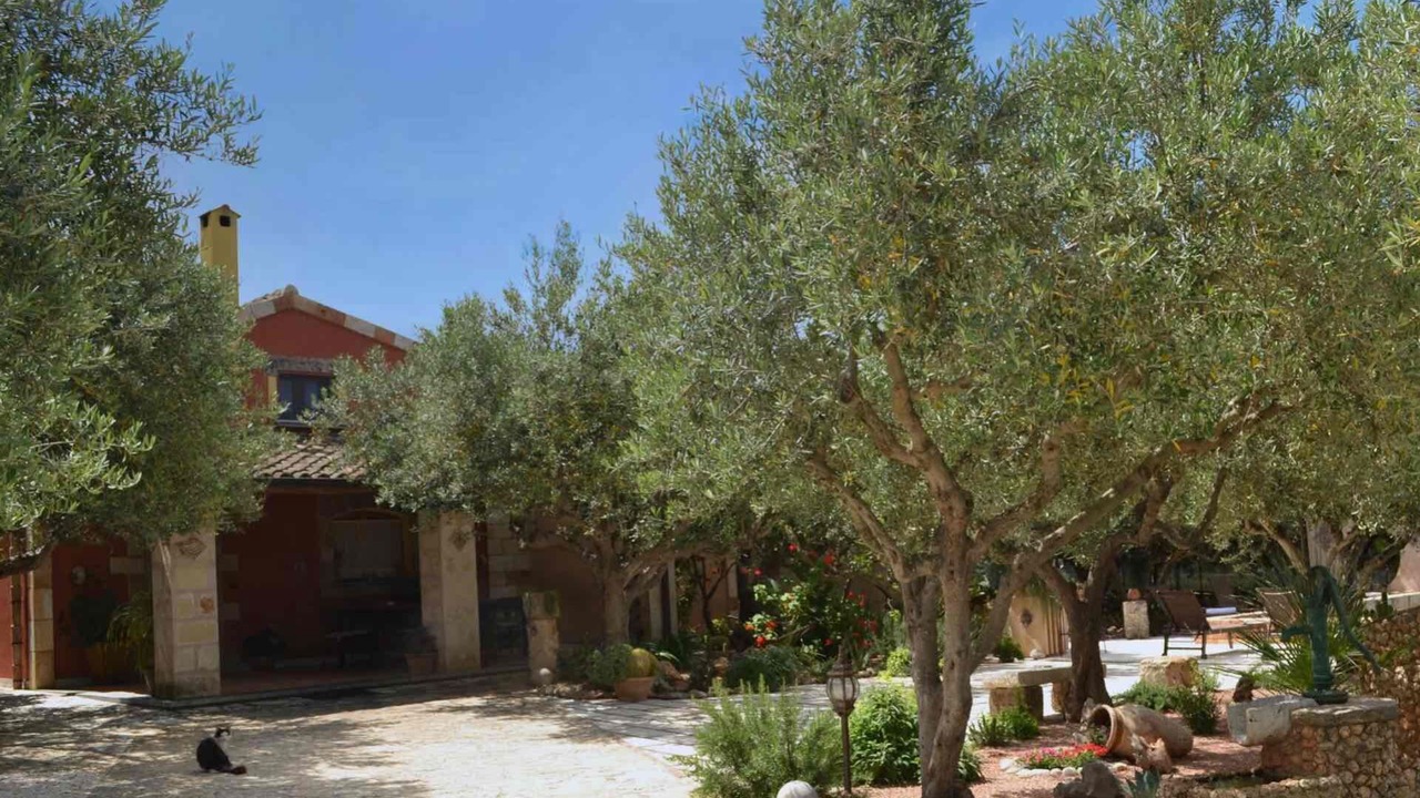 Photo of Outdoor in Castelluzzo