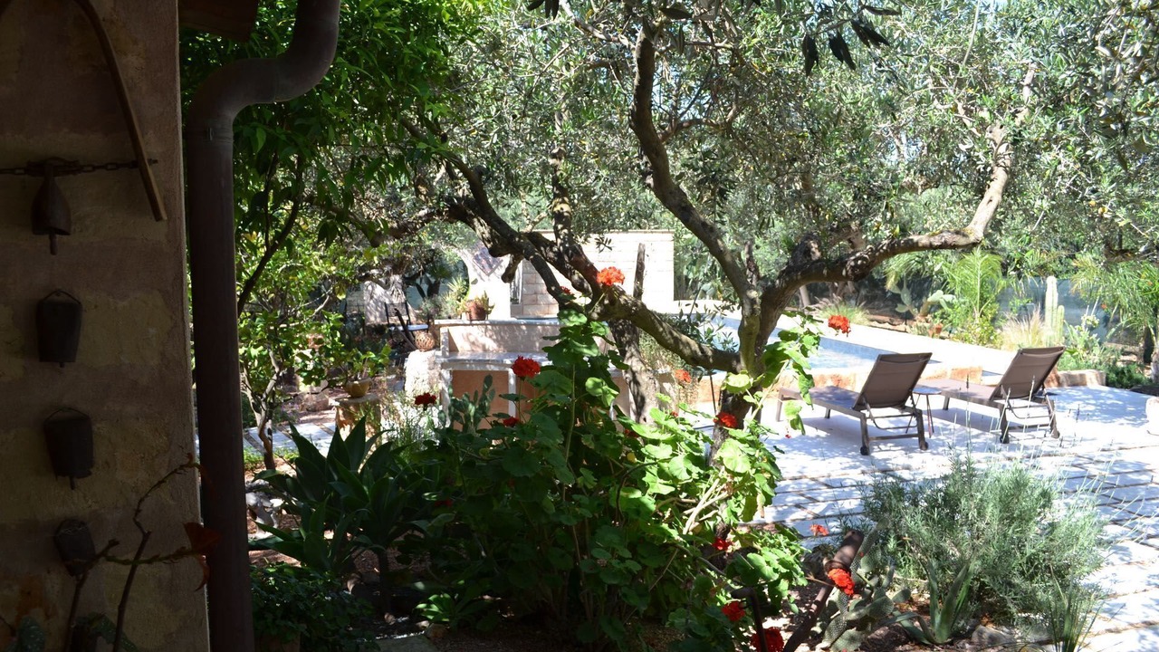 Photo of Outdoor in Castelluzzo