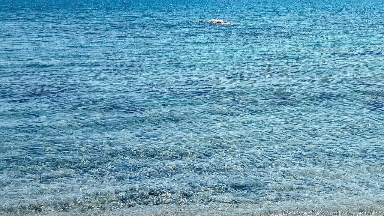 Photo of Others in Chianchitta-Pallio