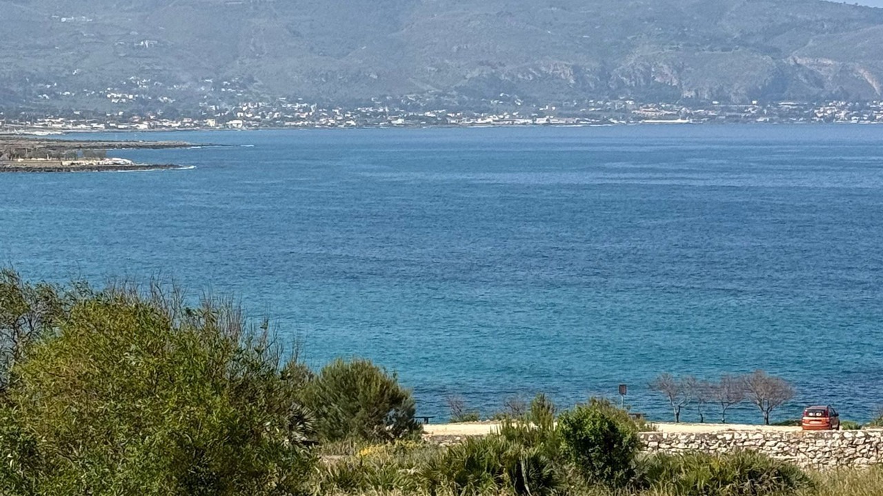 Photo of Others in Custonaci
