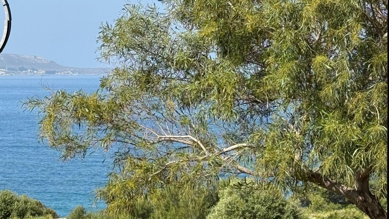 Photo of Others in Custonaci