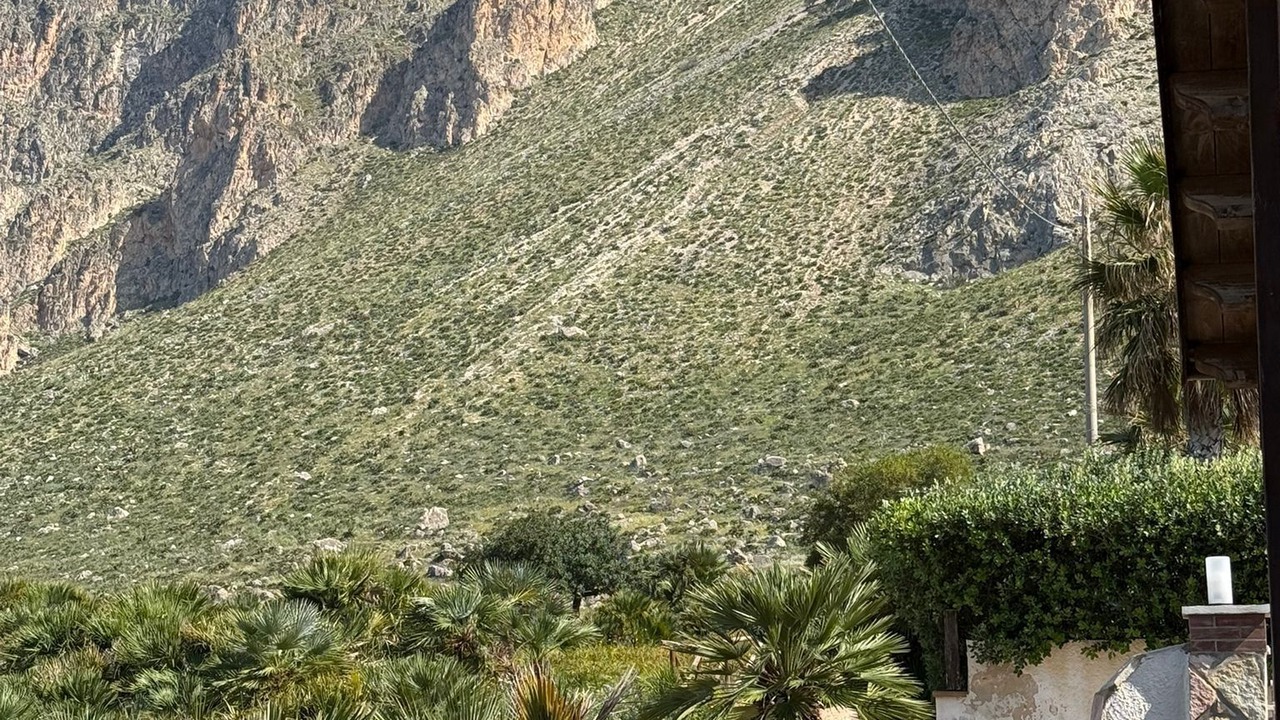 Photo of Outdoor in Custonaci