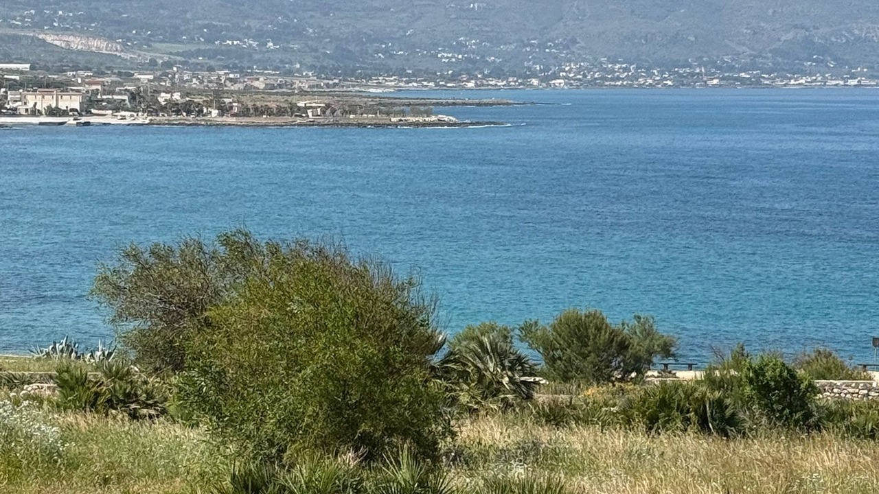 Photo of Others in Custonaci