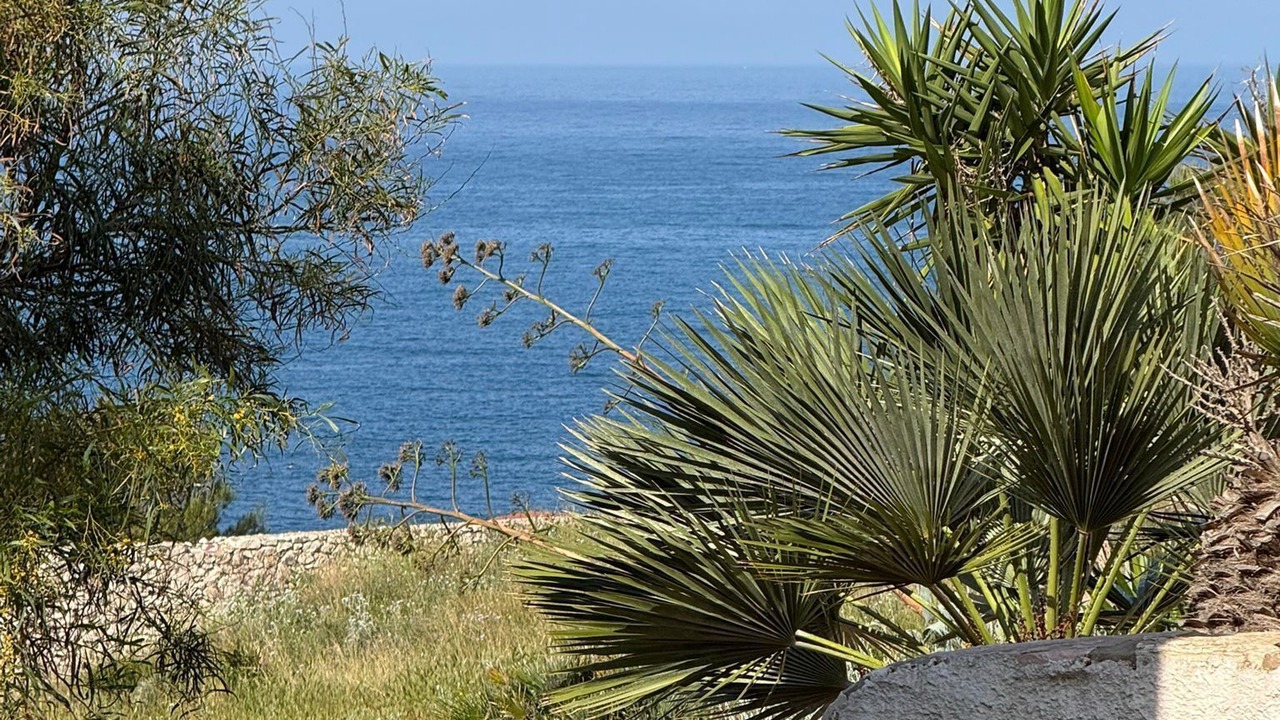 Photo of Outdoor in Custonaci