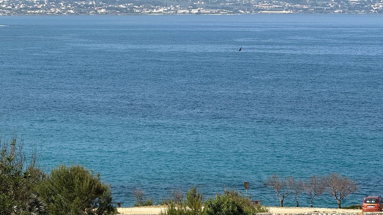 Photo of Others in Custonaci