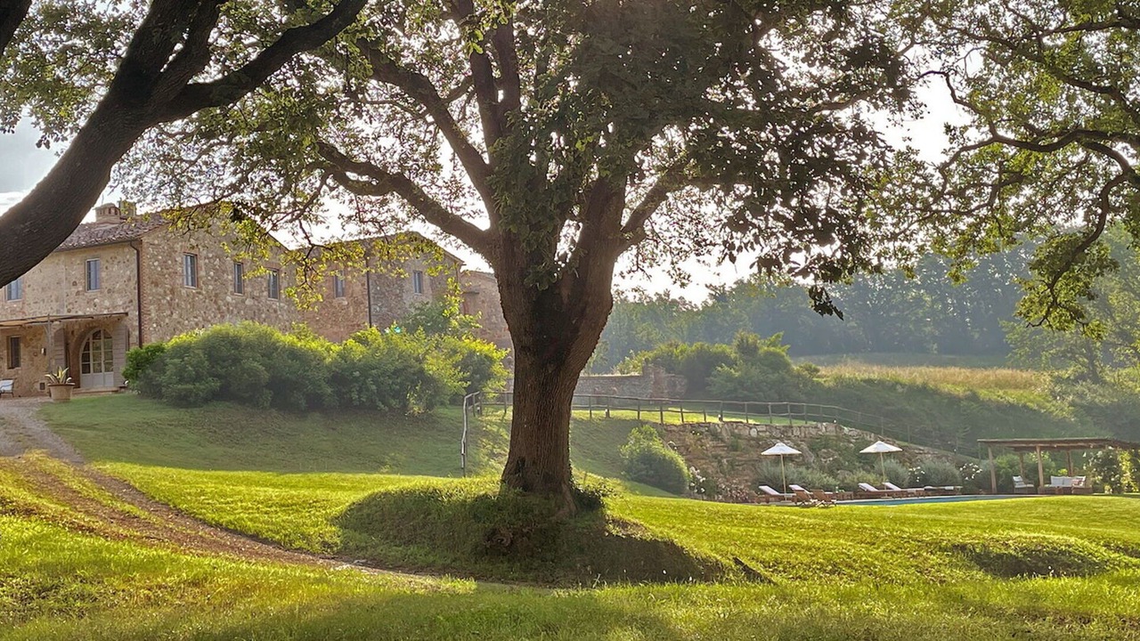 Photo of Outdoor in Chiusdino