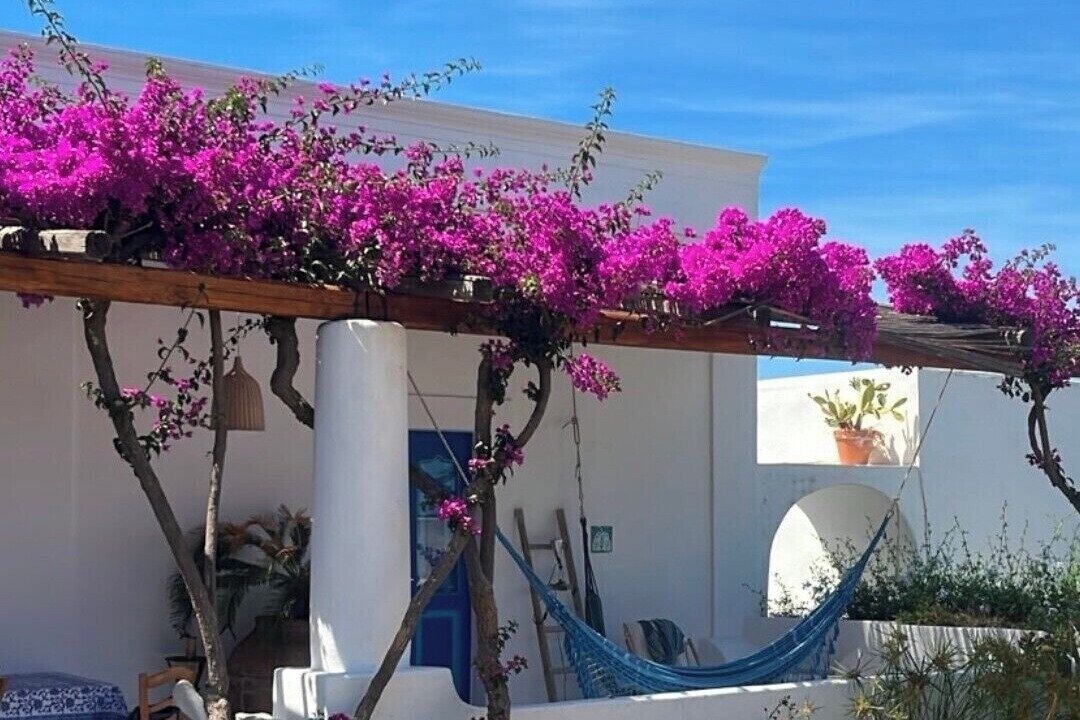 Photo of Outdoor in Stromboli