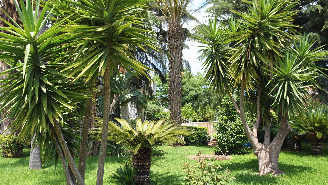 Photo of Outdoor in Nunziata