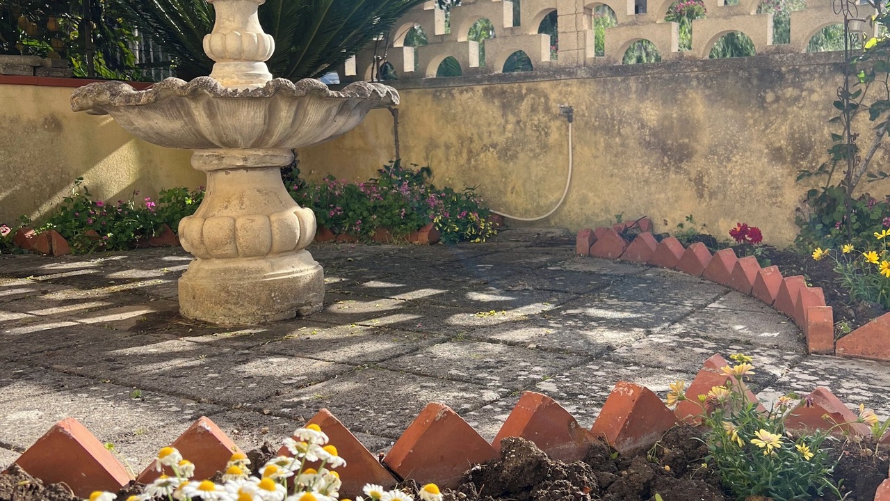 Photo of Outdoor in Vita